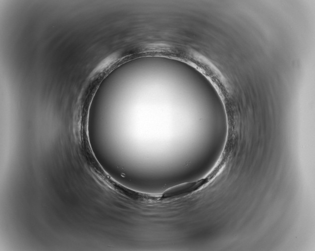 X0000087641403200705101038