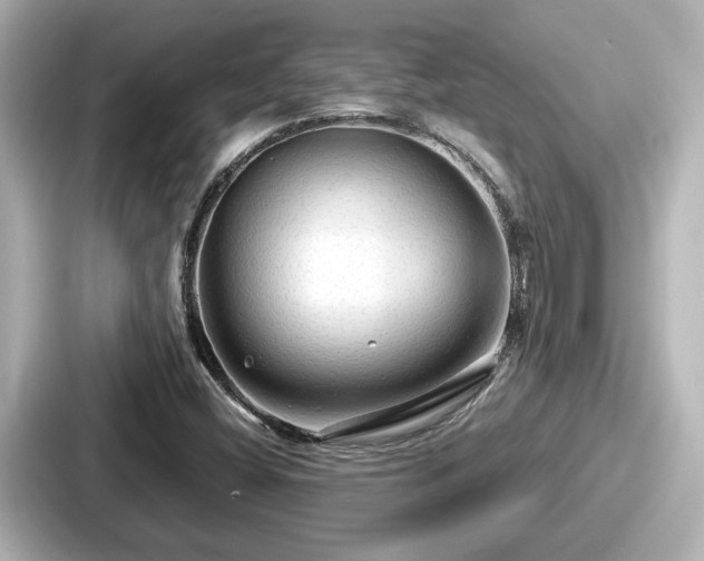 X0000087641404200705101038