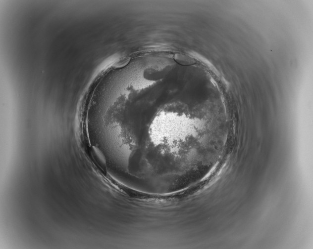 X0000087641405200705101038