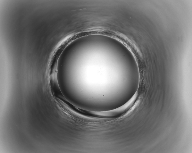 X0000087641406200705101038