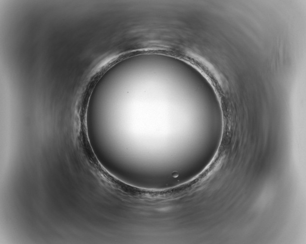 X0000087641407200705101038