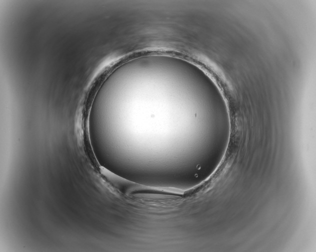 X0000087641408200705101038