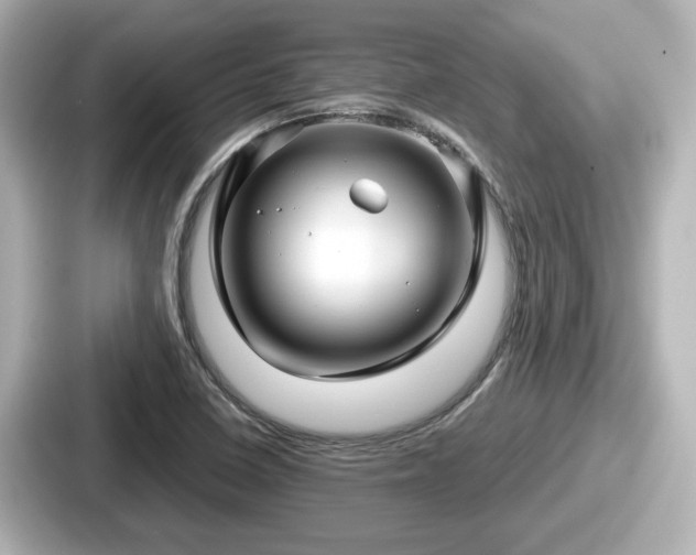 X0000087641410200705101038