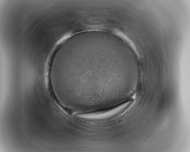 X0000087641411200705101038