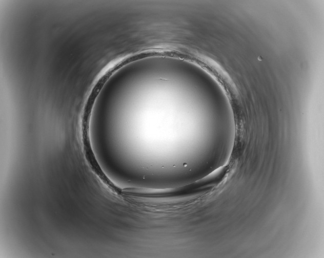 X0000087641412200705101038