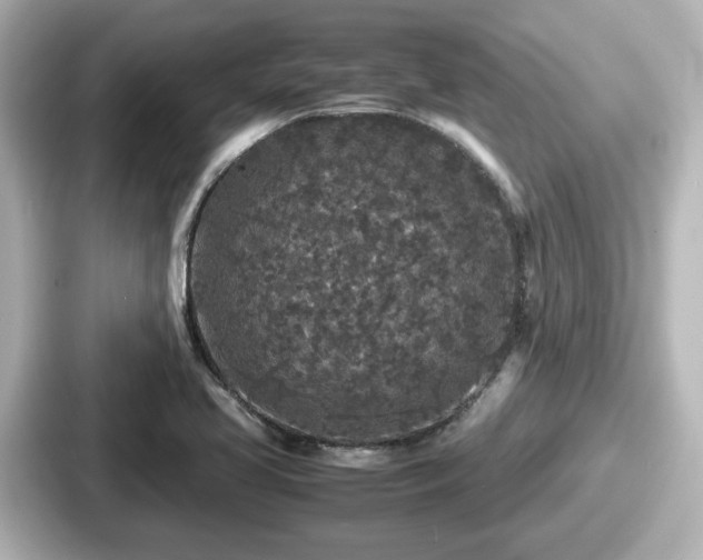 X0000087641413200705101038