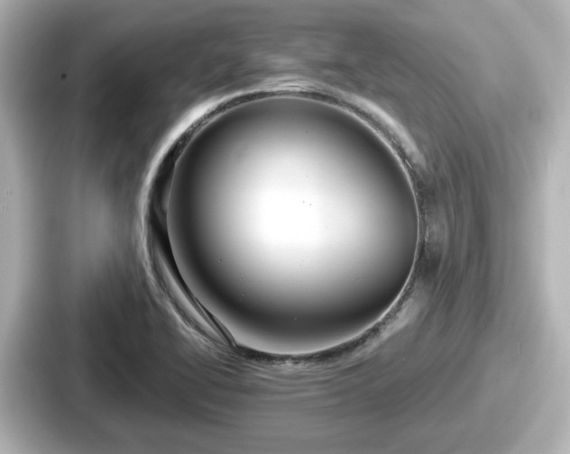 X0000087641414200705101038