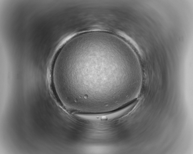 X0000087641415200705101038