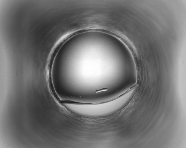 X0000087641416200705101038