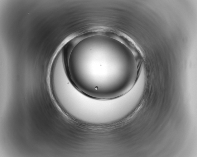 X0000087641418200705101038