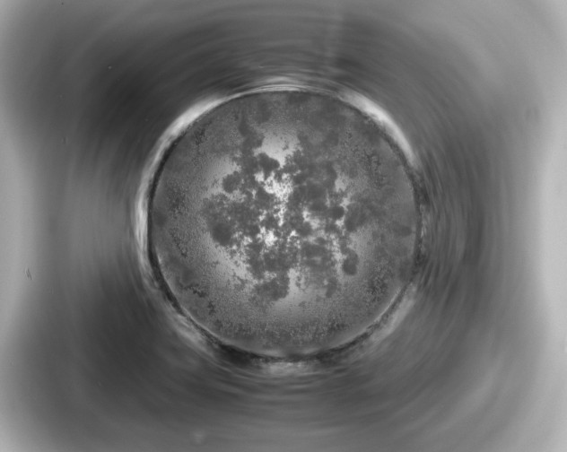 X0000087641419200705101038