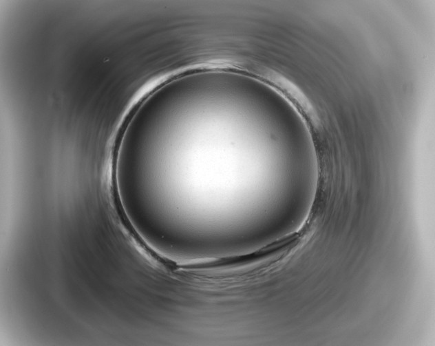 X0000087641420200705101038