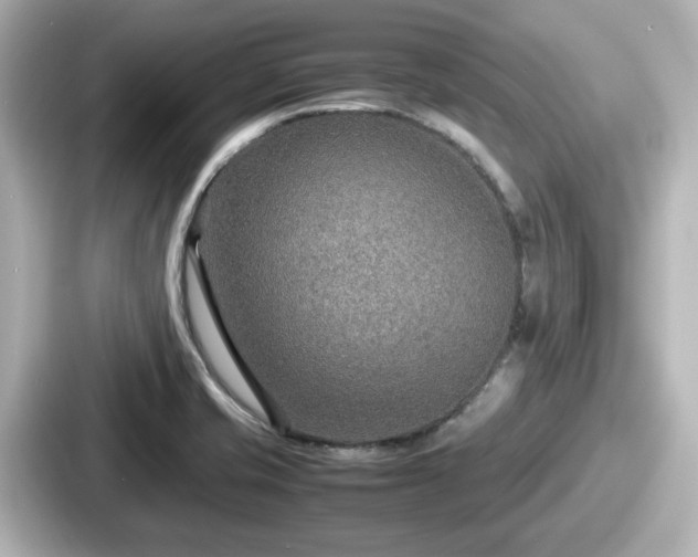 X0000087641421200705101038