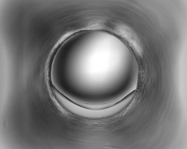 X0000087641422200705101038