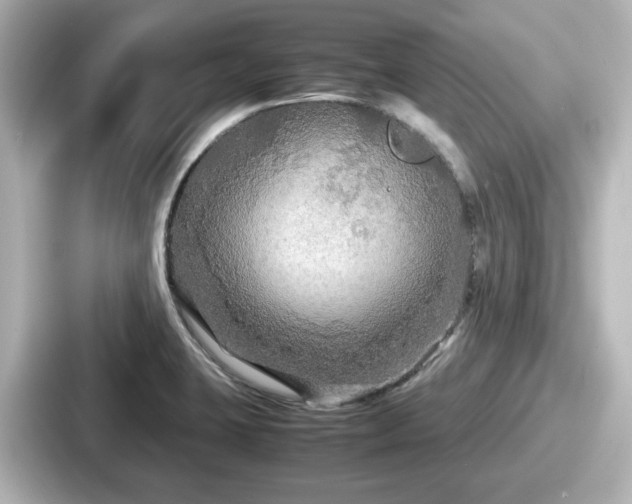 X0000087641423200705101038