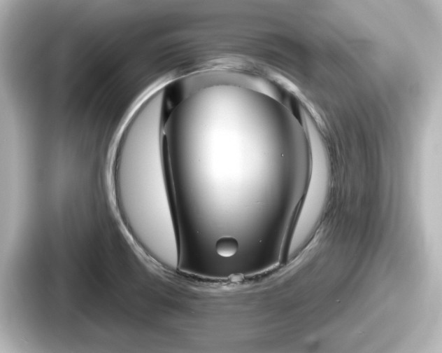 X0000087641426200705101038