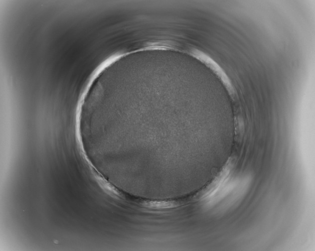 X0000087641427200705101038