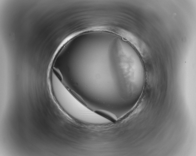 X0000087641428200705101038