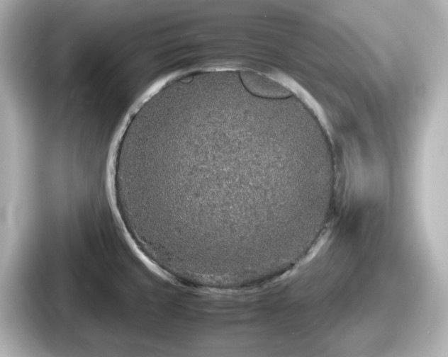 X0000087641429200705101039