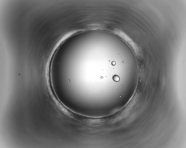 X0000087641431200705101039