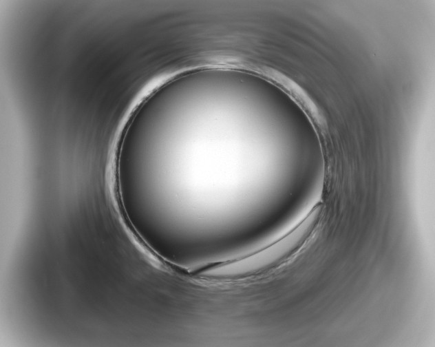 X0000087641432200705101039