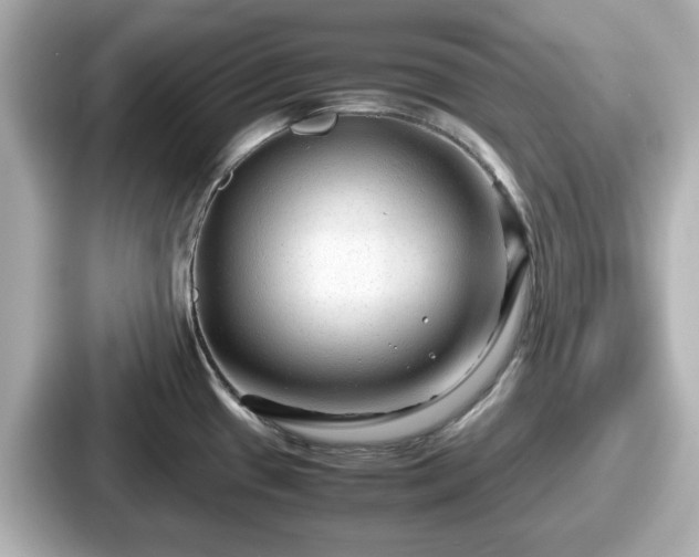 X0000087641433200705101039