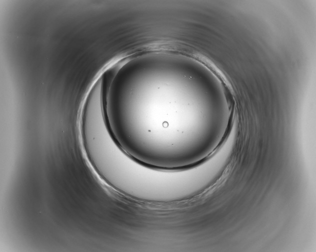 X0000087641434200705101039