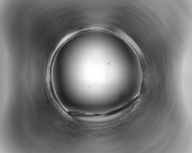 X0000087641436200705101039