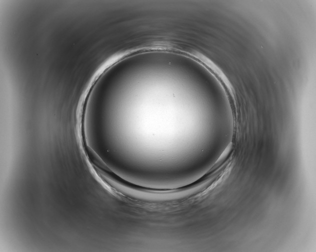 X0000087641437200705101039