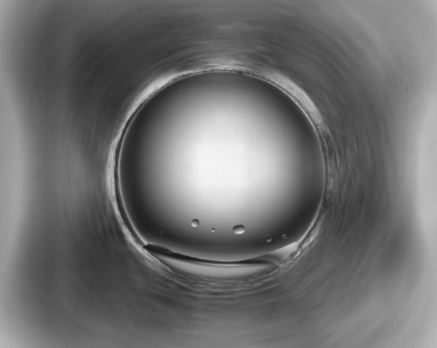 X0000087641439200705101039