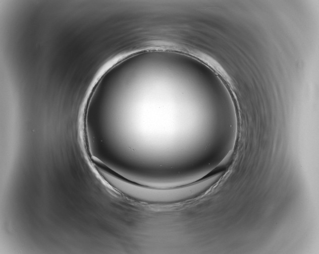 X0000087641440200705101039