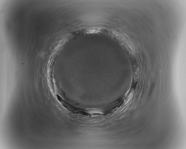 X0000087641441200705101038