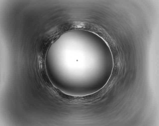 X0000087641442200705101038