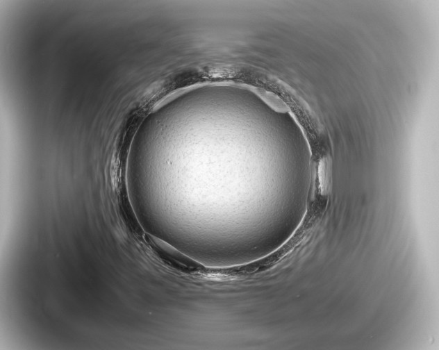 X0000087641443200705101038