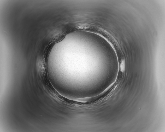 X0000087641444200705101038