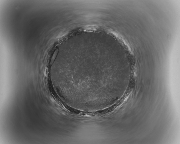 X0000087641445200705101038