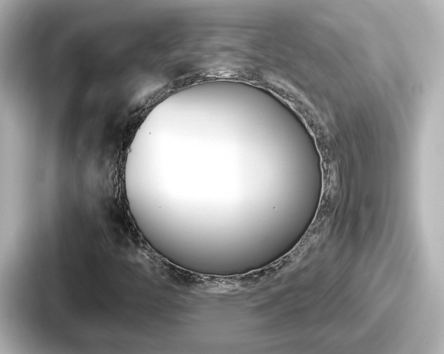 X0000087641446200705101038