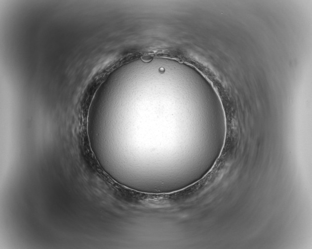 X0000087641447200705101038