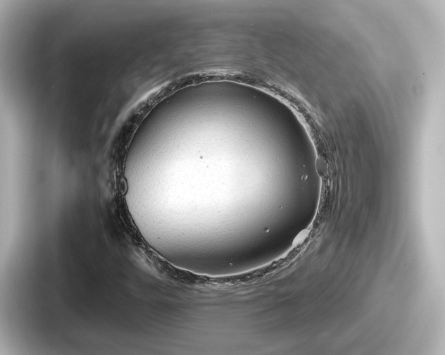 X0000087641448200705101038