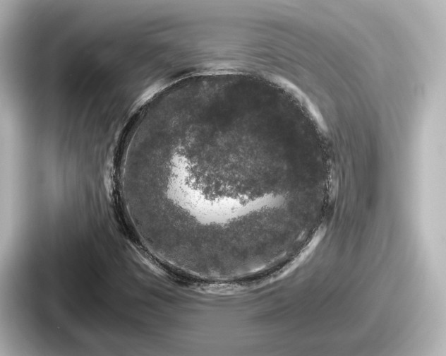 X0000087641449200705101038