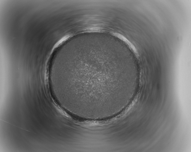 X0000087641450200705101038