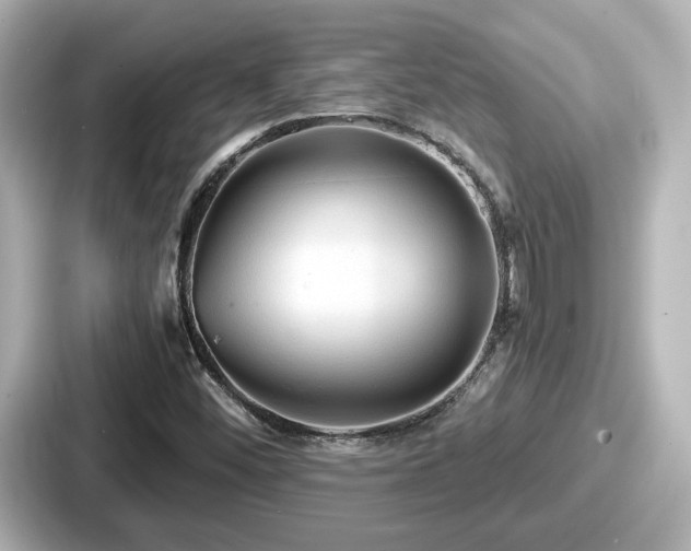 X0000087641452200705101038