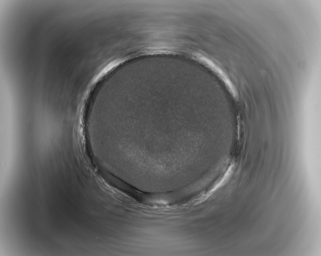 X0000087641453200705101038