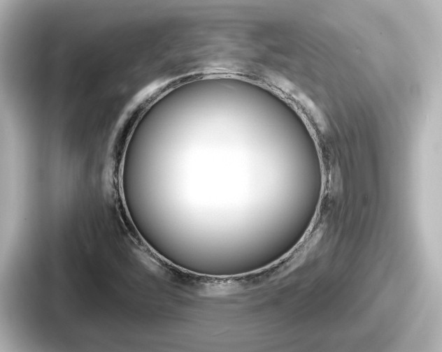 X0000087641454200705101038