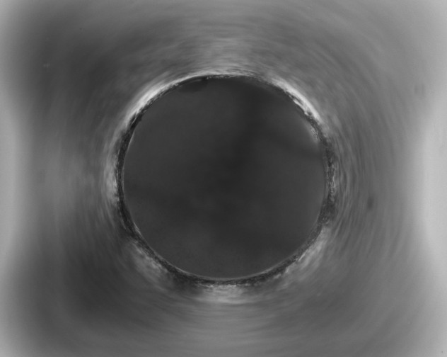 X0000087641455200705101038