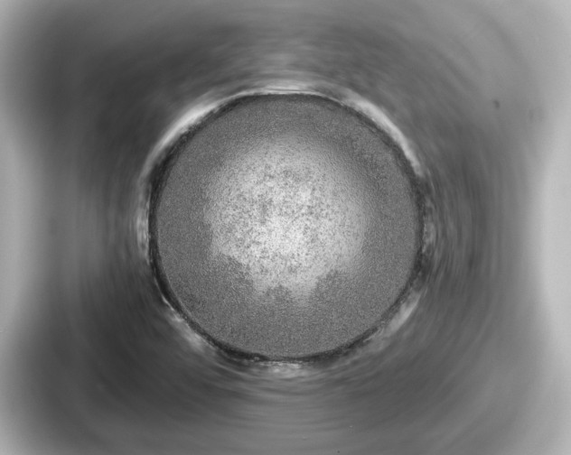 X0000087641456200705101038