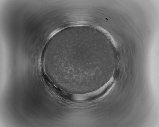 X0000087641457200705101038