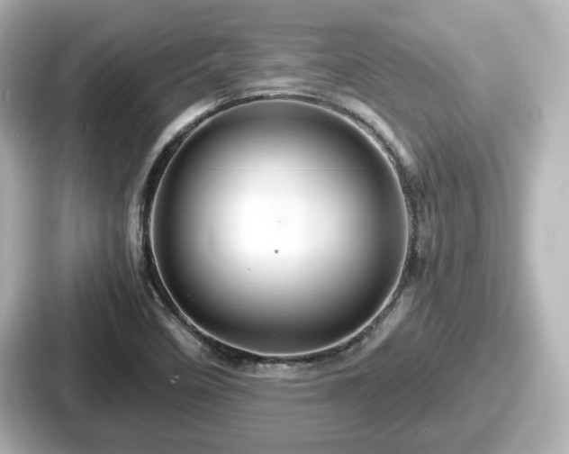 X0000087641458200705101038