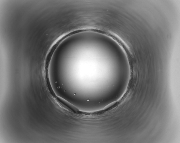 X0000087641460200705101038