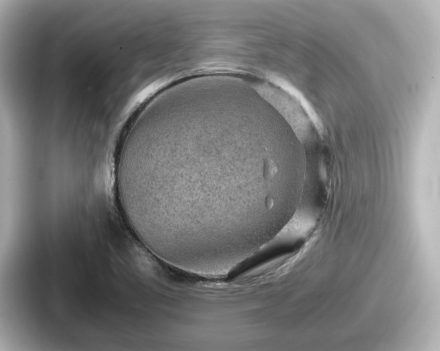 X0000087641461200705101038